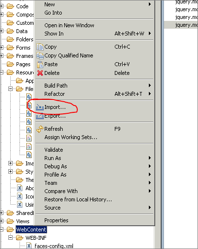 Image:Import folders with files into your Domino webapplication with the Package Explorer